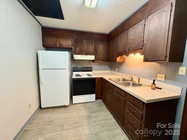 124/126 Polly Street Property Photo 8