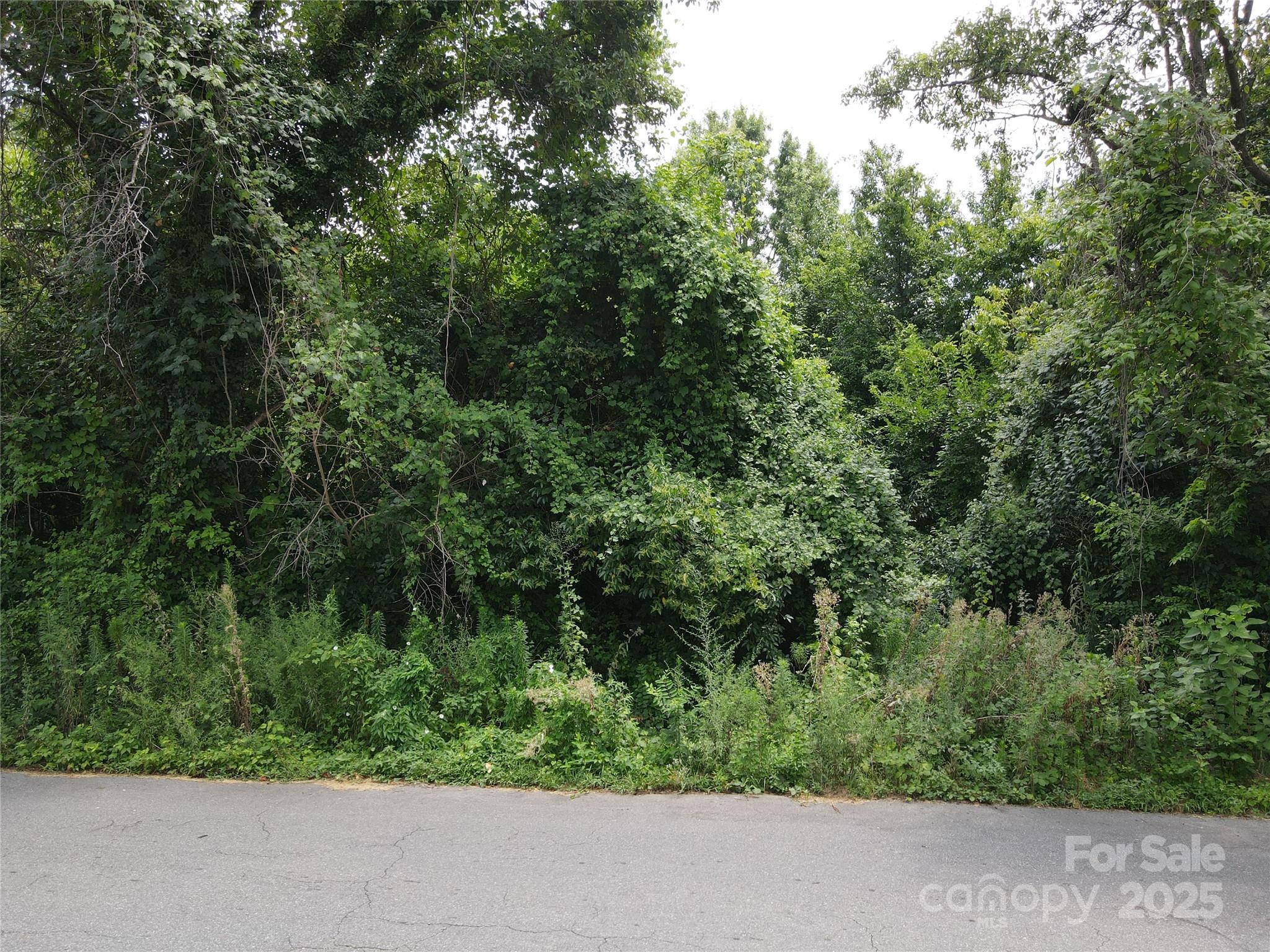 920 Andrill Terrace Property Photo 6