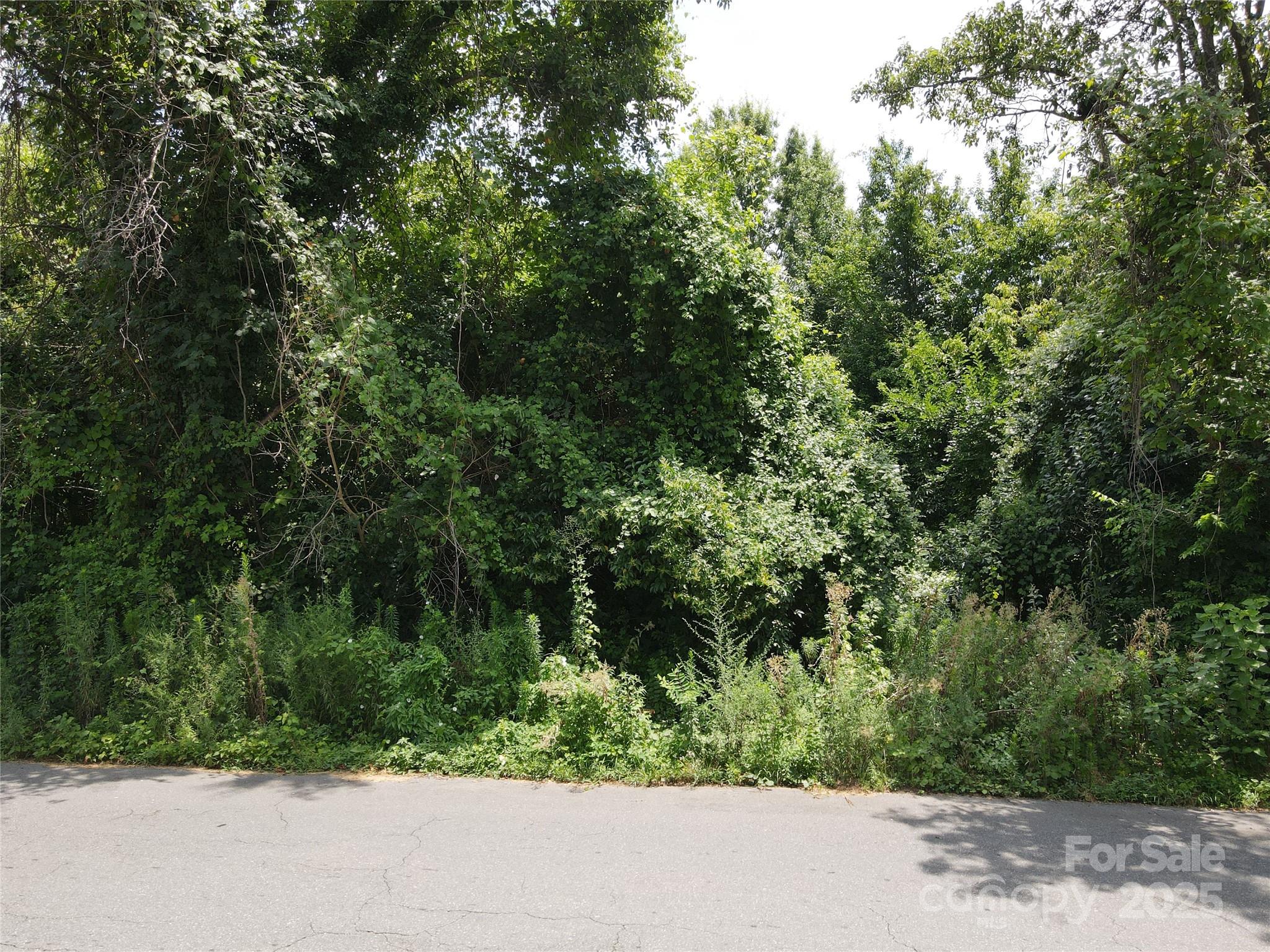 920 Andrill Terrace Property Photo 7