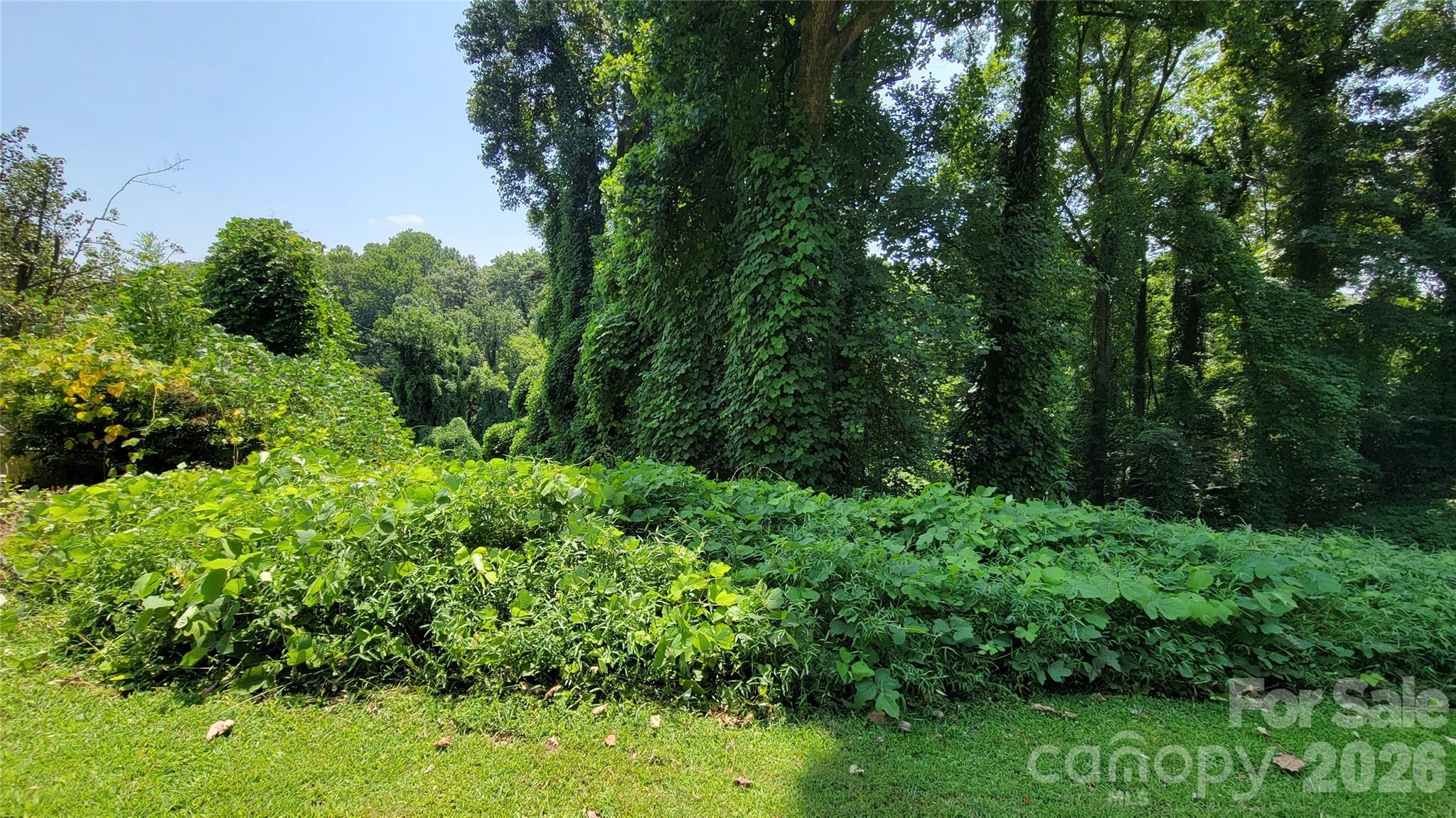 160 Cleveland Road Property Photo 37