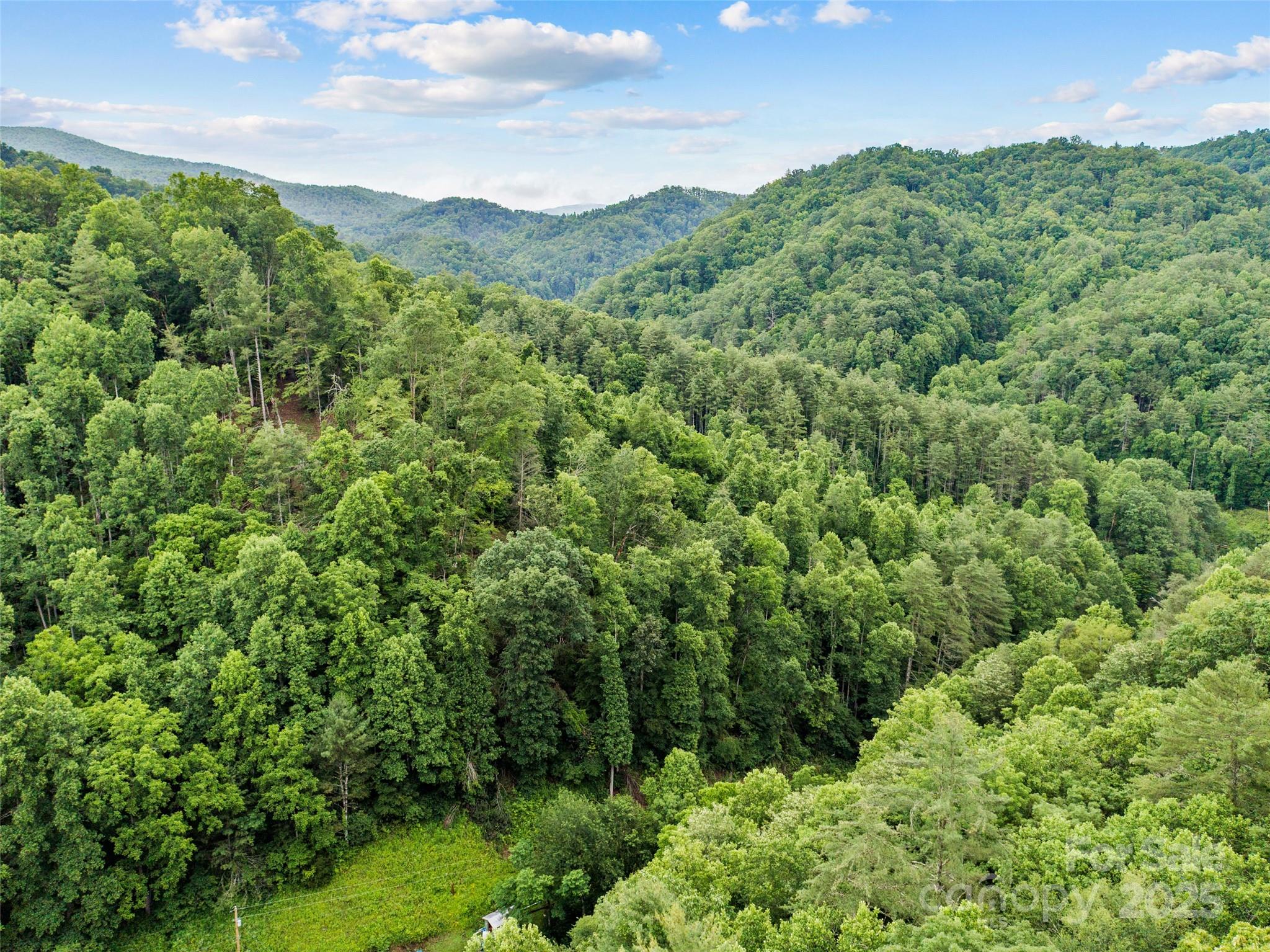 0 Holloway Road Property Photo 2