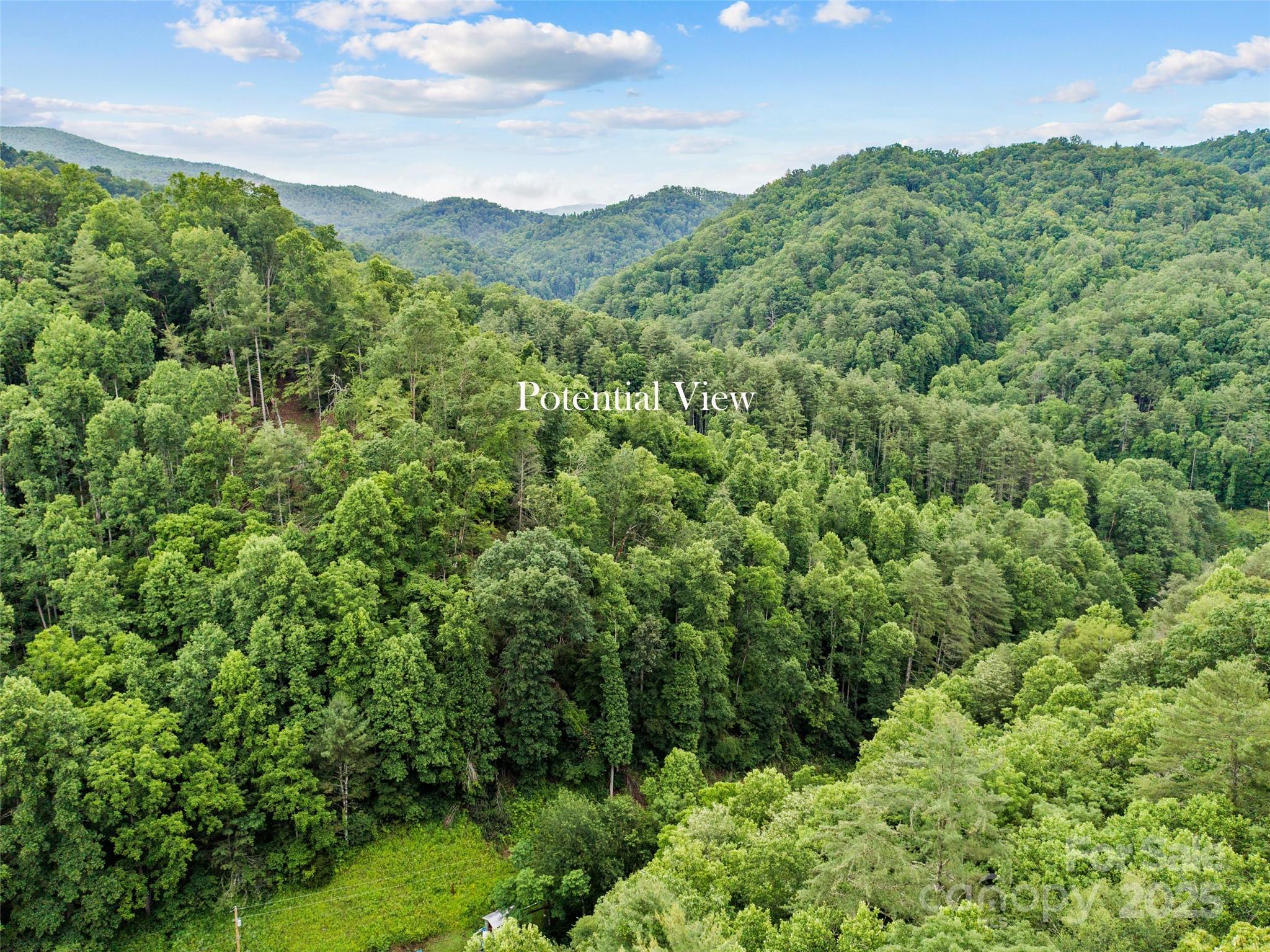 0 Holloway Road Property Photo 3