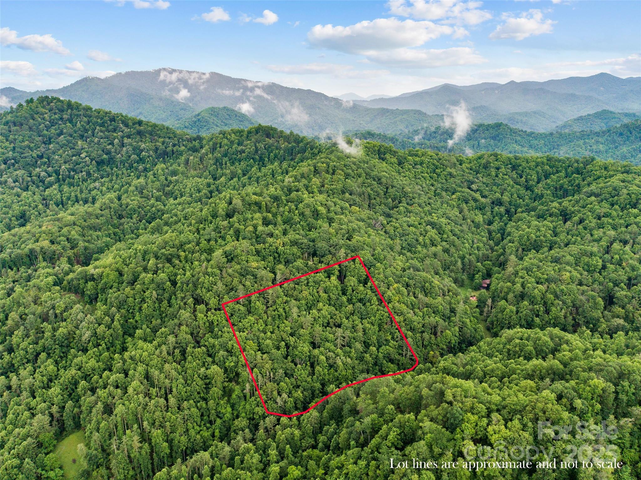 0 Holloway Road Property Photo 5