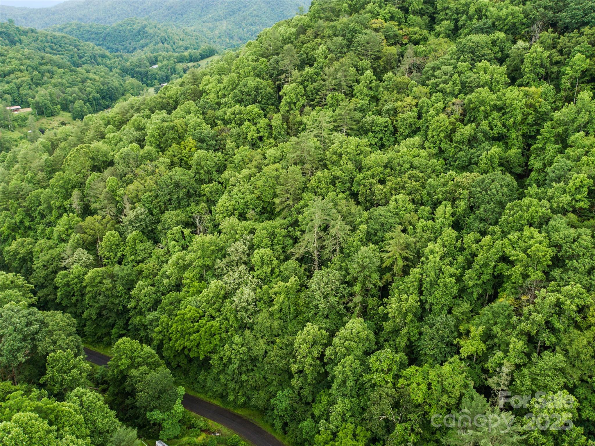 0 Holloway Road Property Photo 7