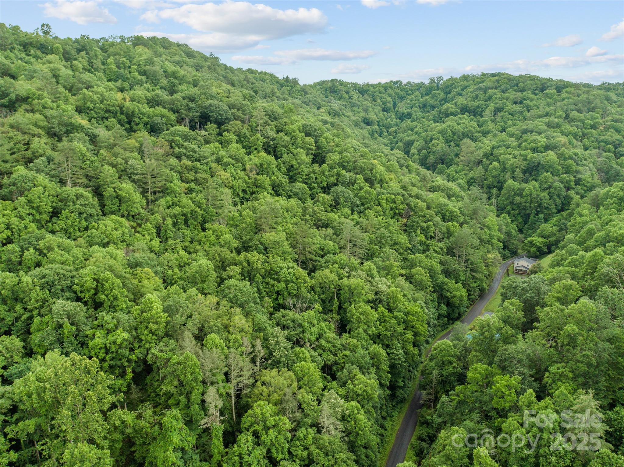 0 Holloway Road Property Photo 8