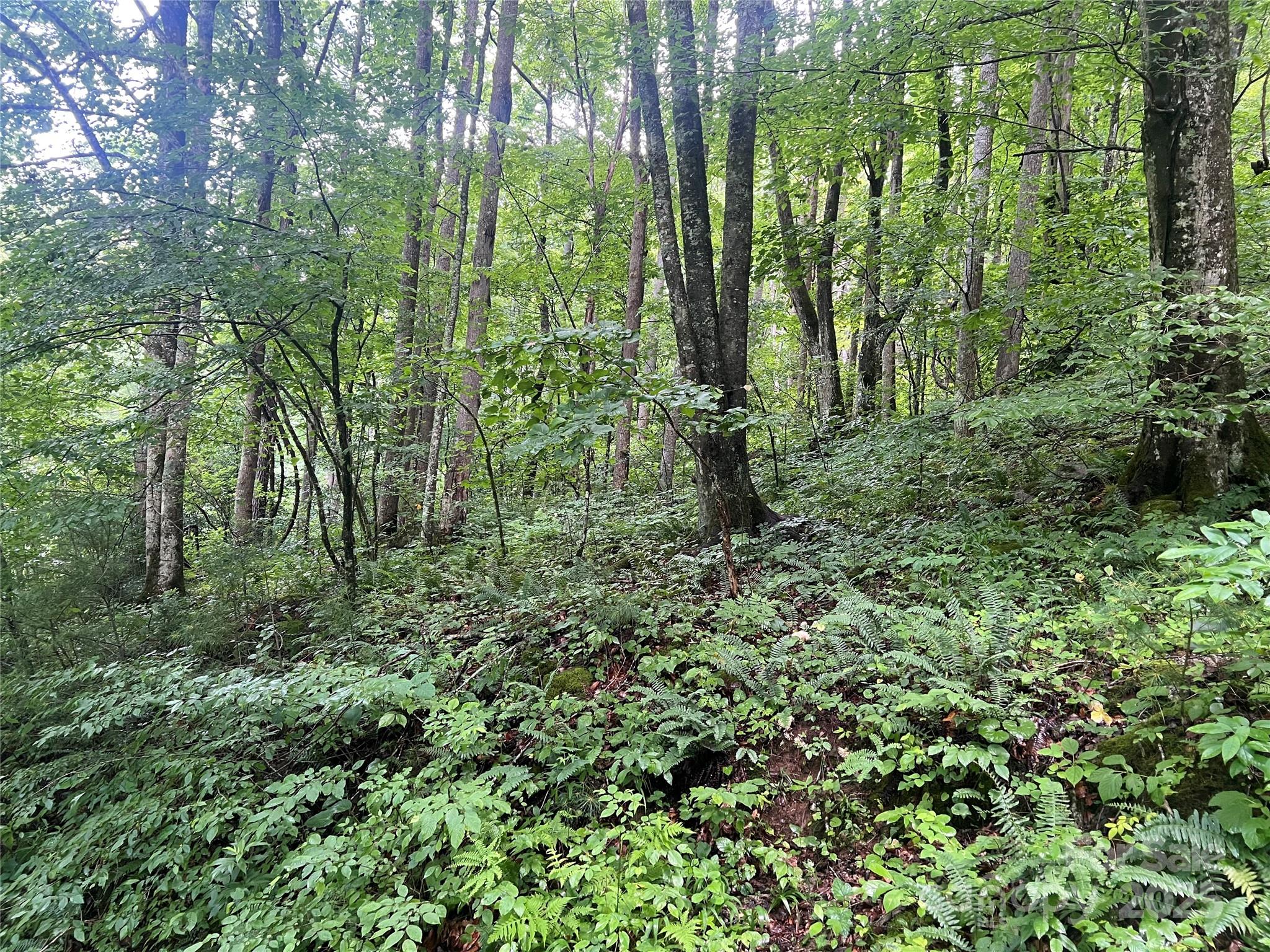 0 Holloway Road Property Photo 10