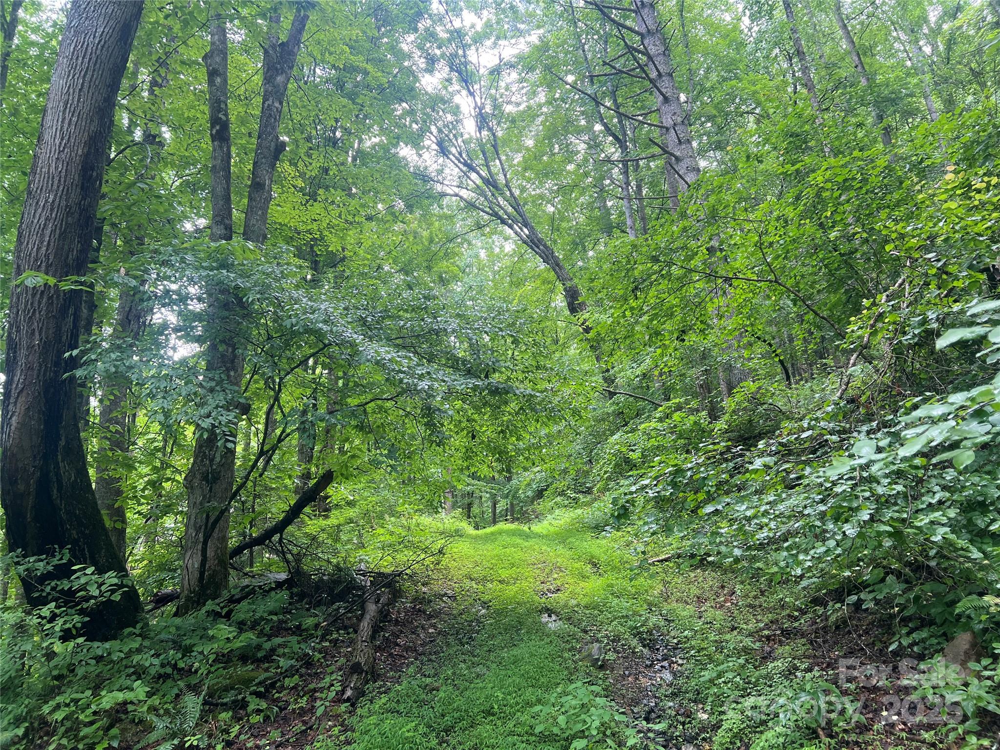 0 Holloway Road Property Photo 12