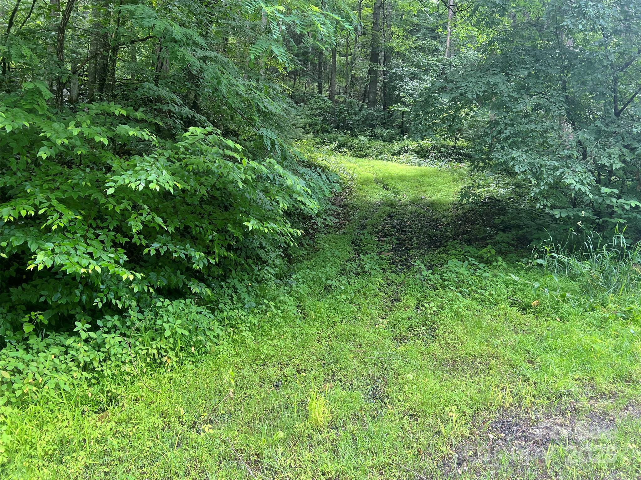 0 Holloway Road Property Photo 13