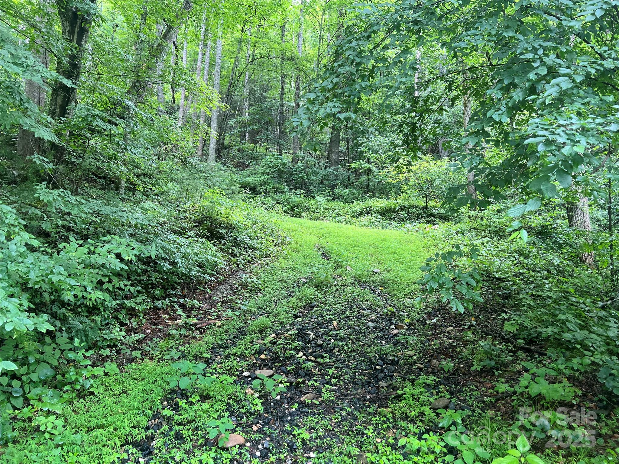 0 Holloway Road Property Photo 14