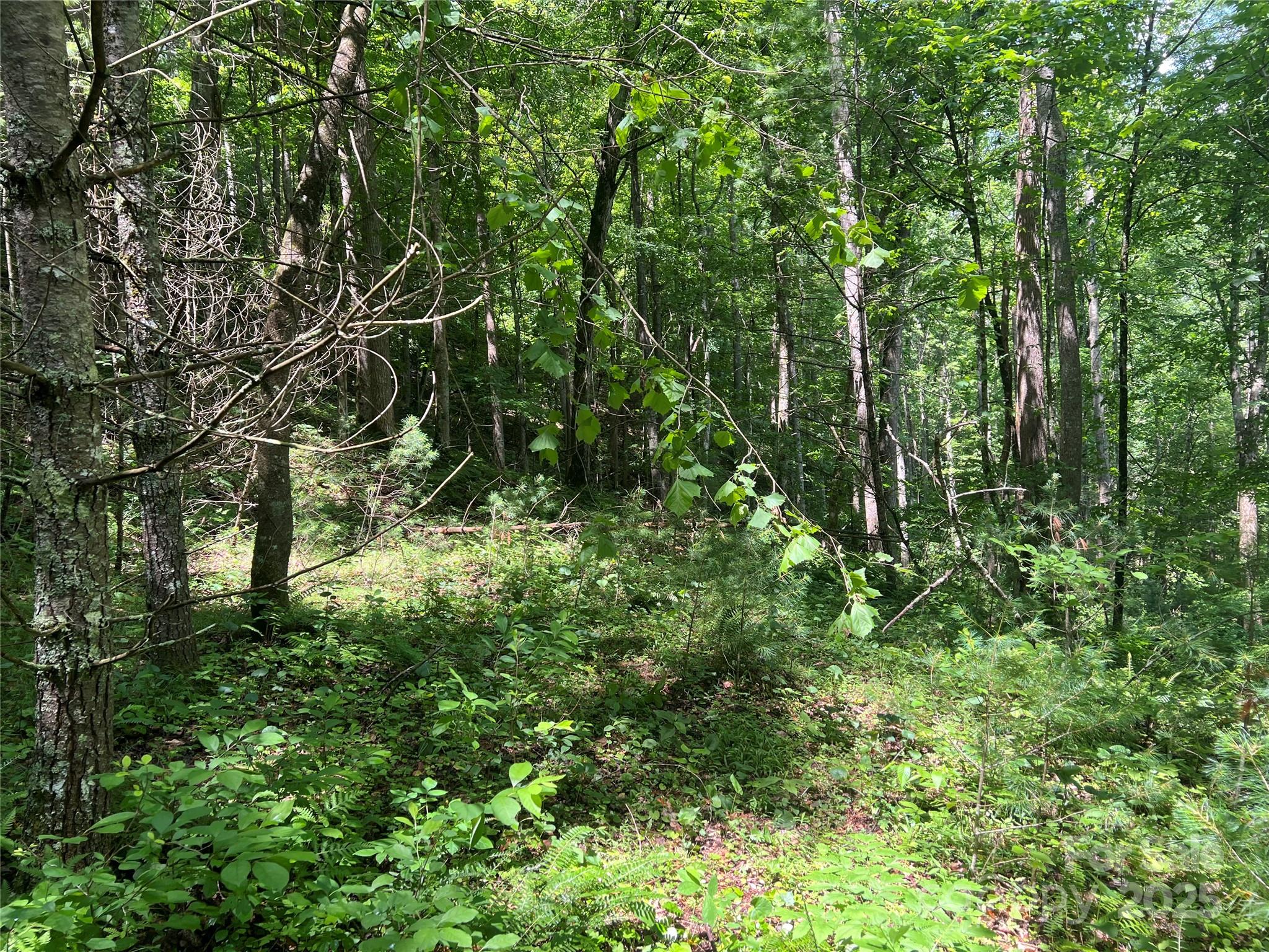 0 Holloway Road Property Photo 15