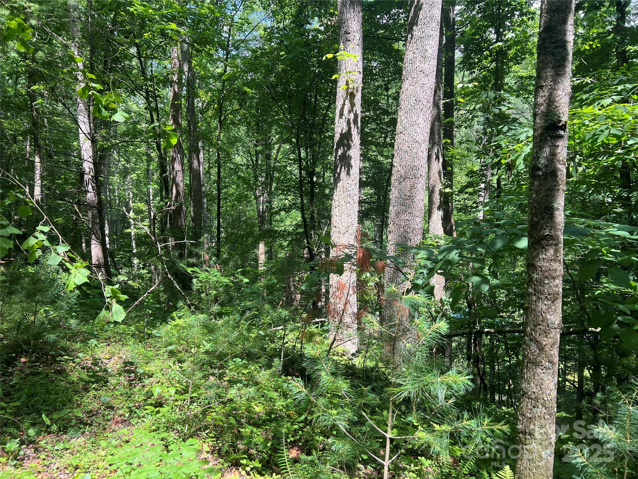 0 Holloway Road Property Photo 16