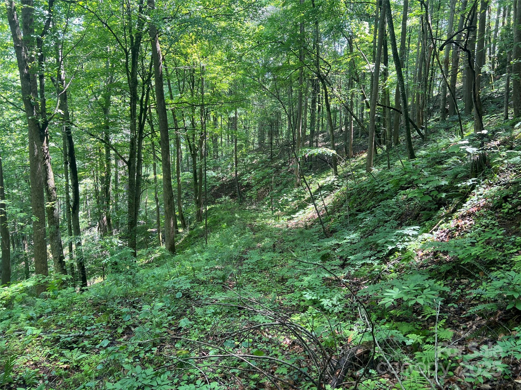 0 Holloway Road Property Photo 17