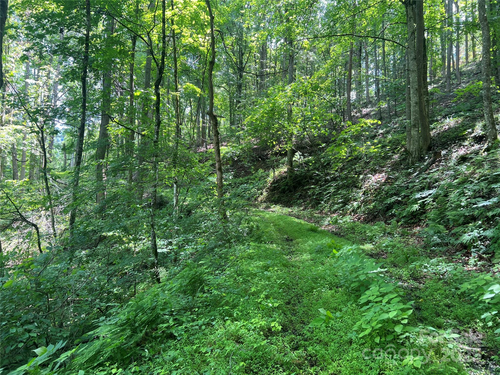 0 Holloway Road Property Photo 18