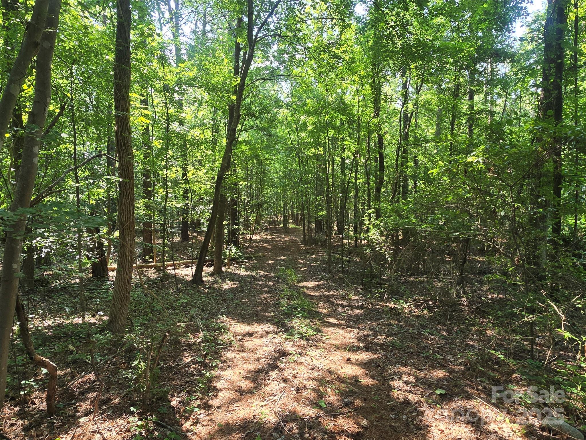 00 Hoke Road Property Photo 1