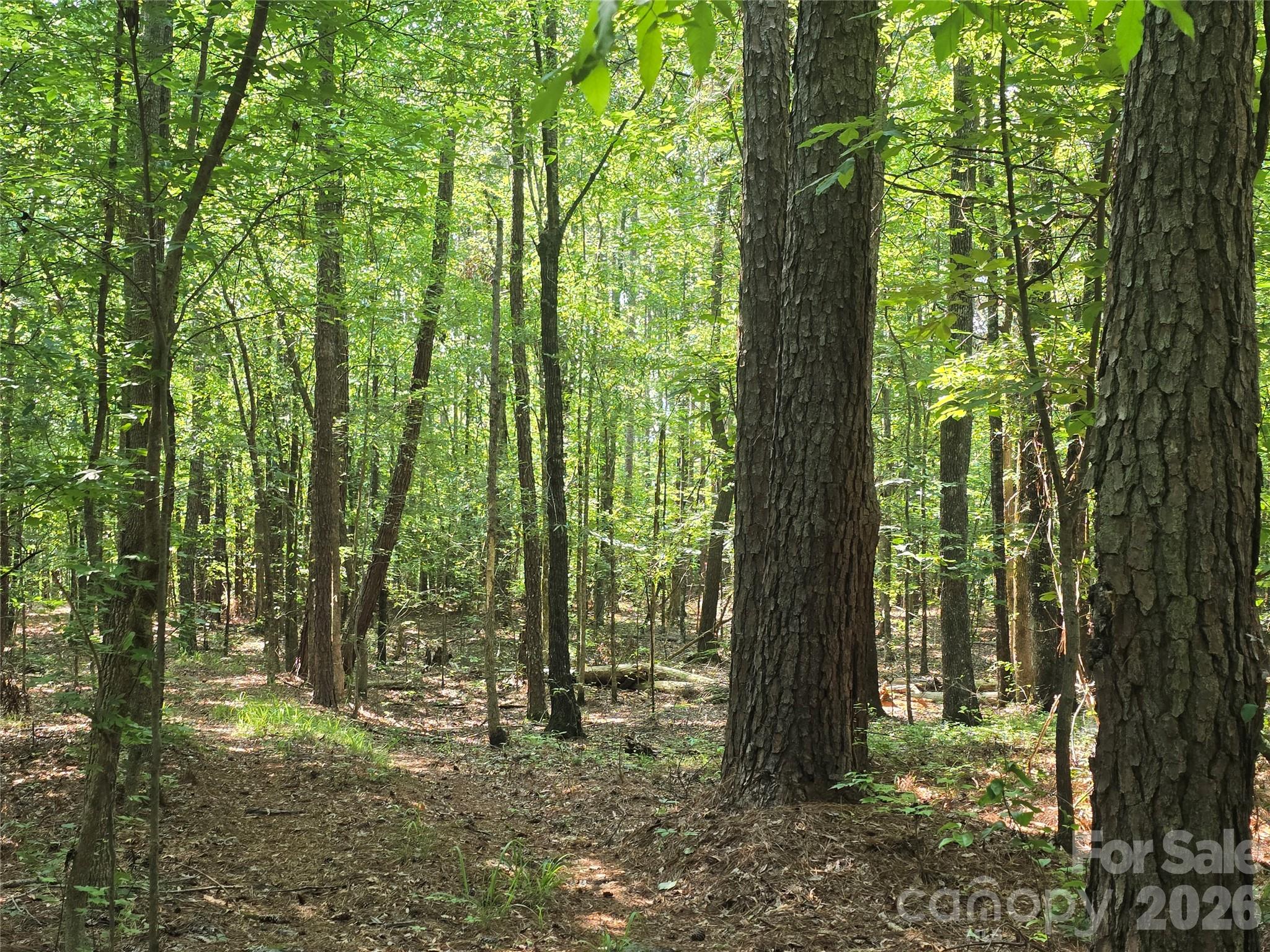 00 Hoke Road Property Photo 1