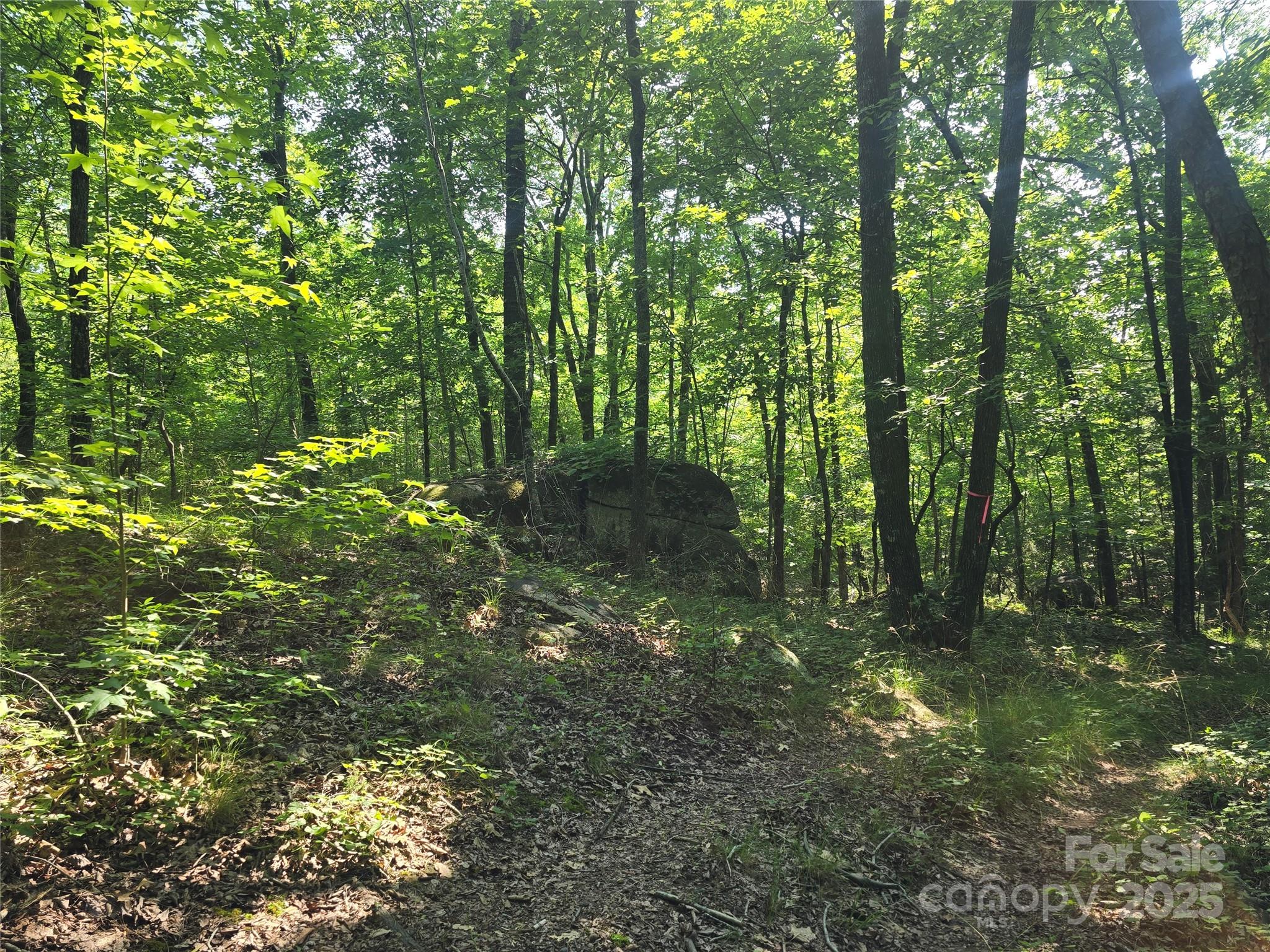 00 Hoke Road Property Photo 2