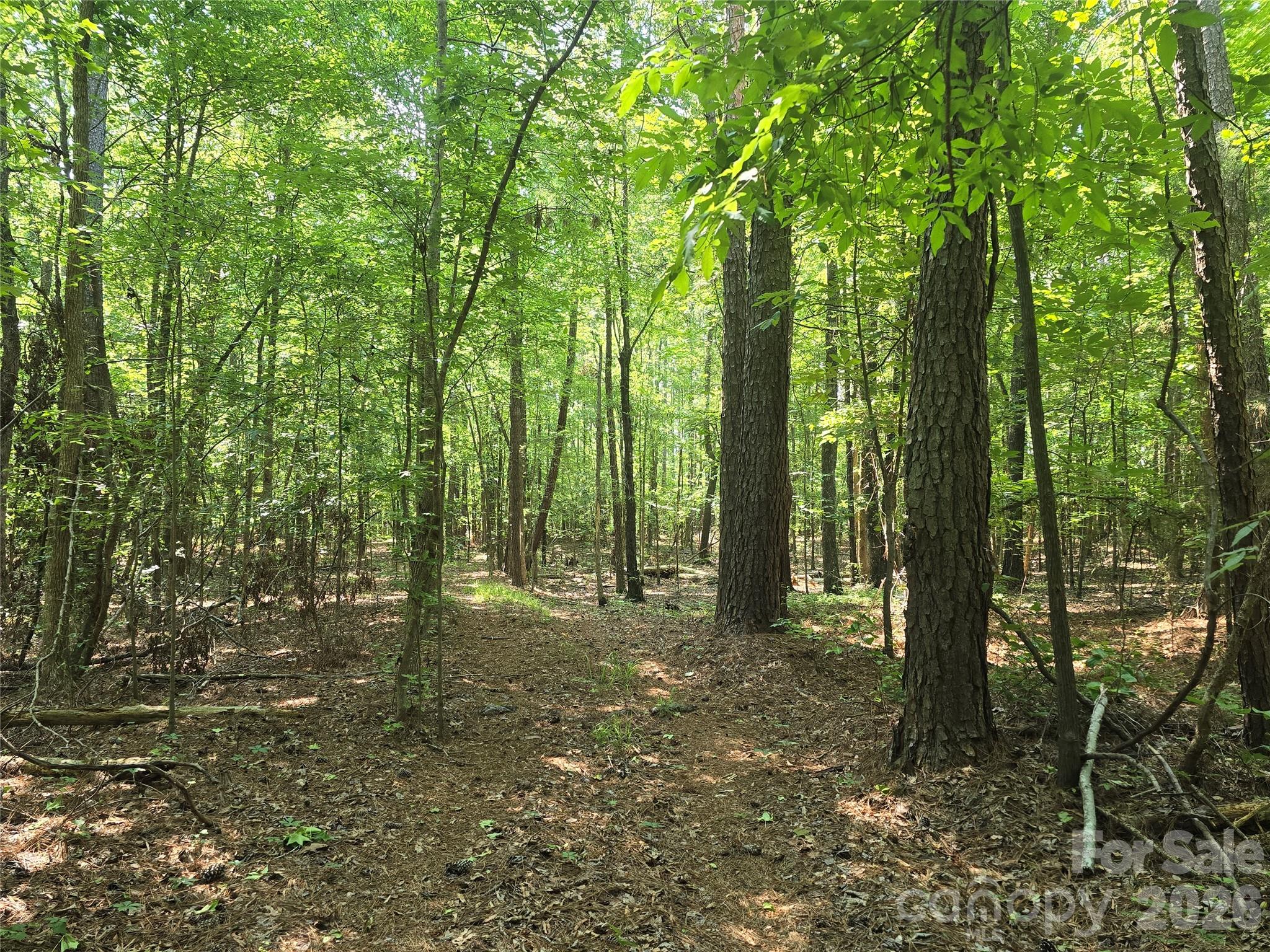 00 Hoke Road Property Photo 2