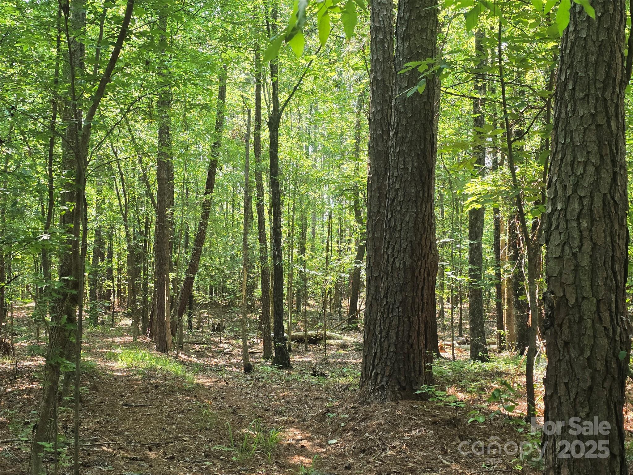 00 Hoke Road Property Photo 3