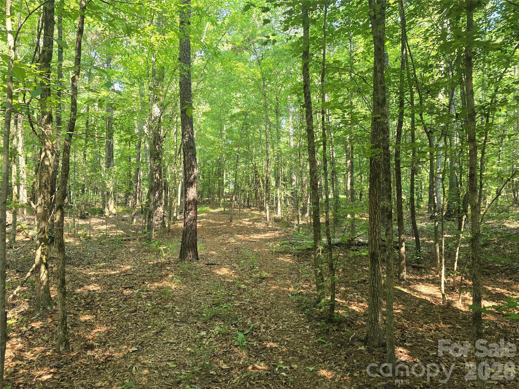 00 Hoke Road Property Photo 3