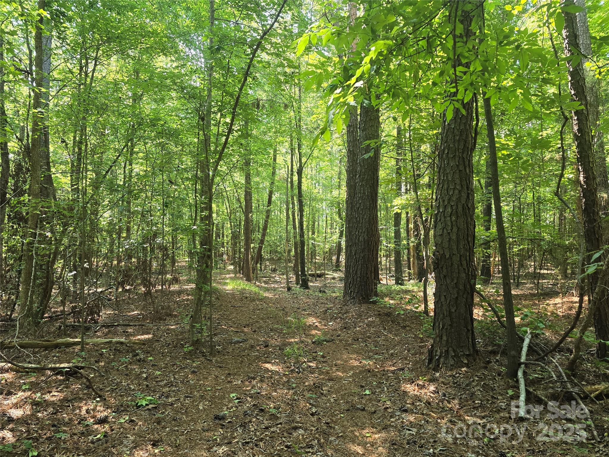 00 Hoke Road Property Photo 4