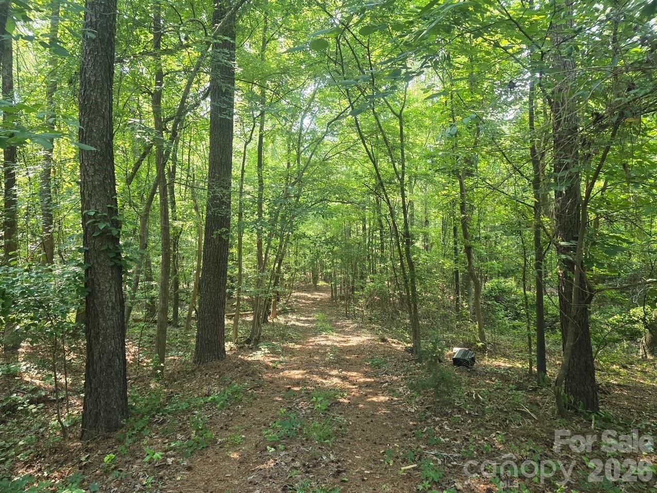 00 Hoke Road Property Photo 4