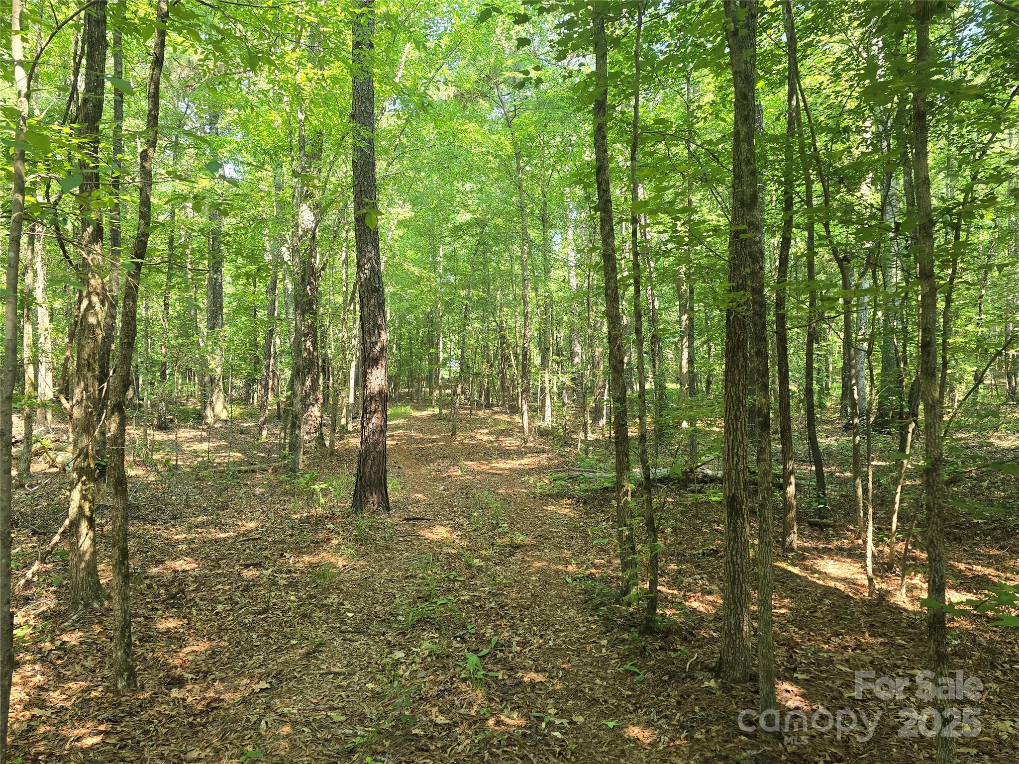 00 Hoke Road Property Photo 5