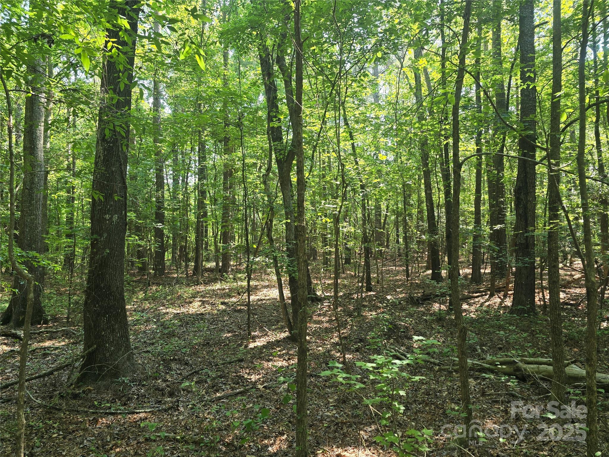 00 Hoke Road Property Photo 6