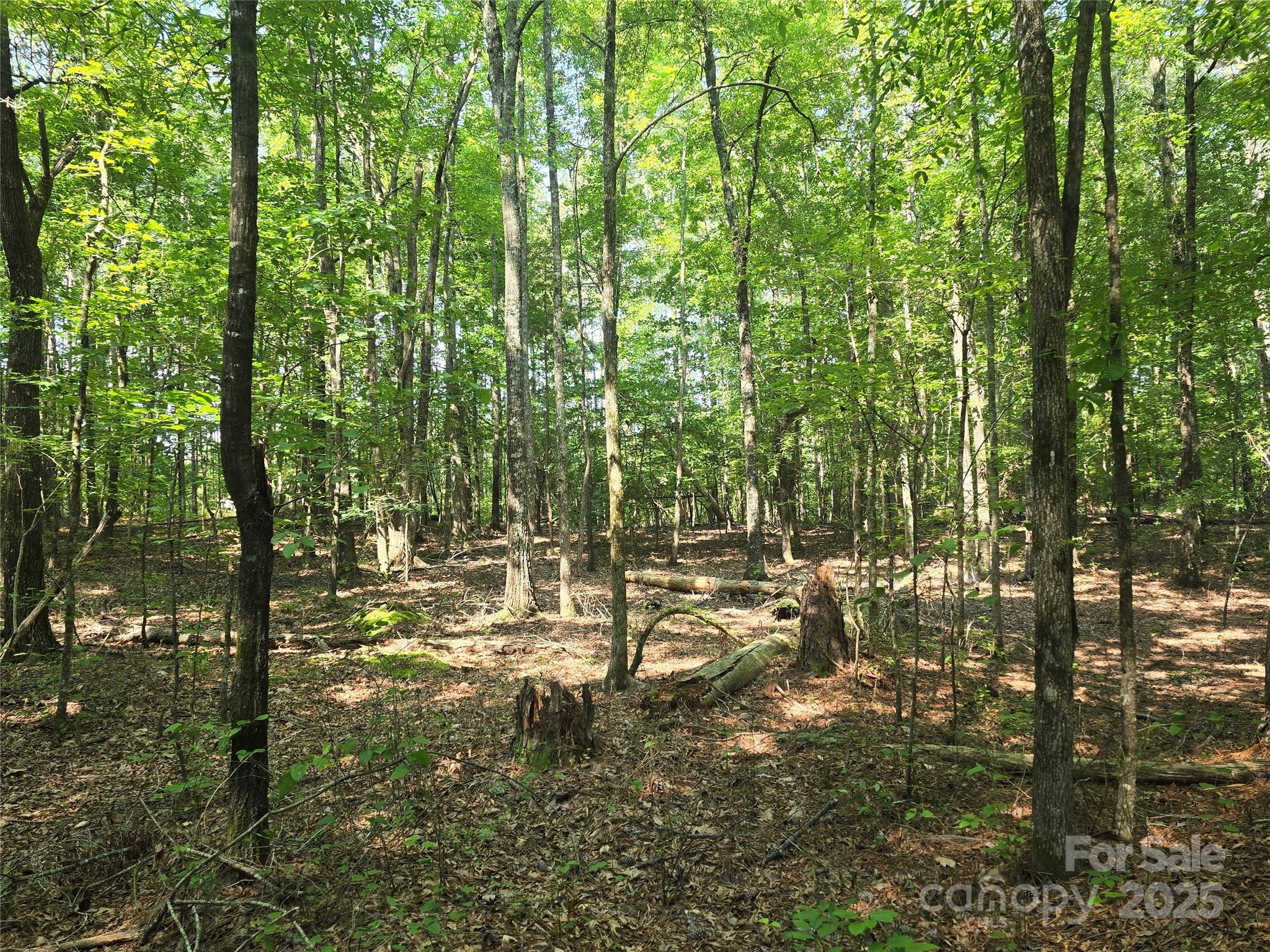 00 Hoke Road Property Photo 7