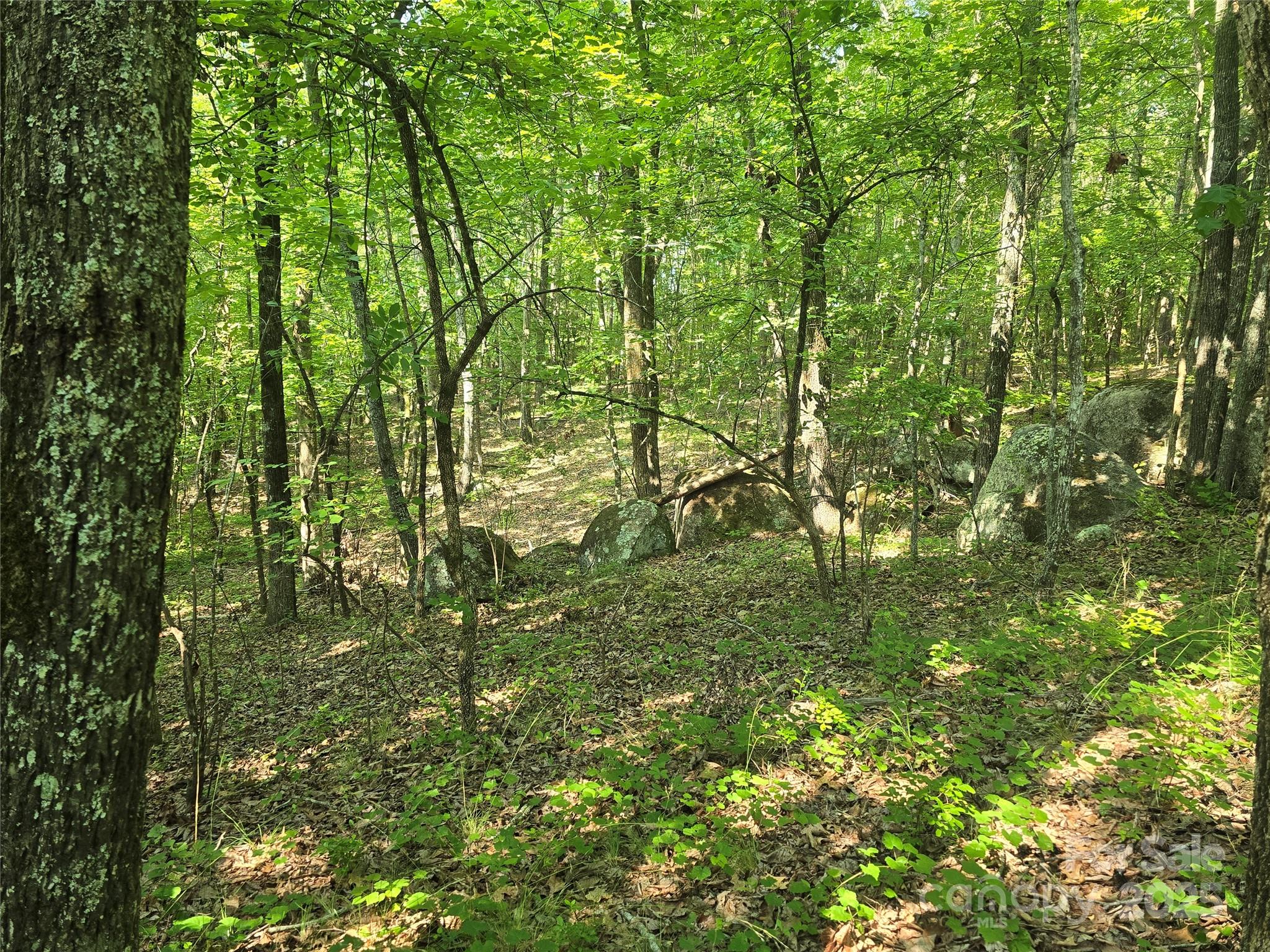 00 Hoke Road Property Photo 8