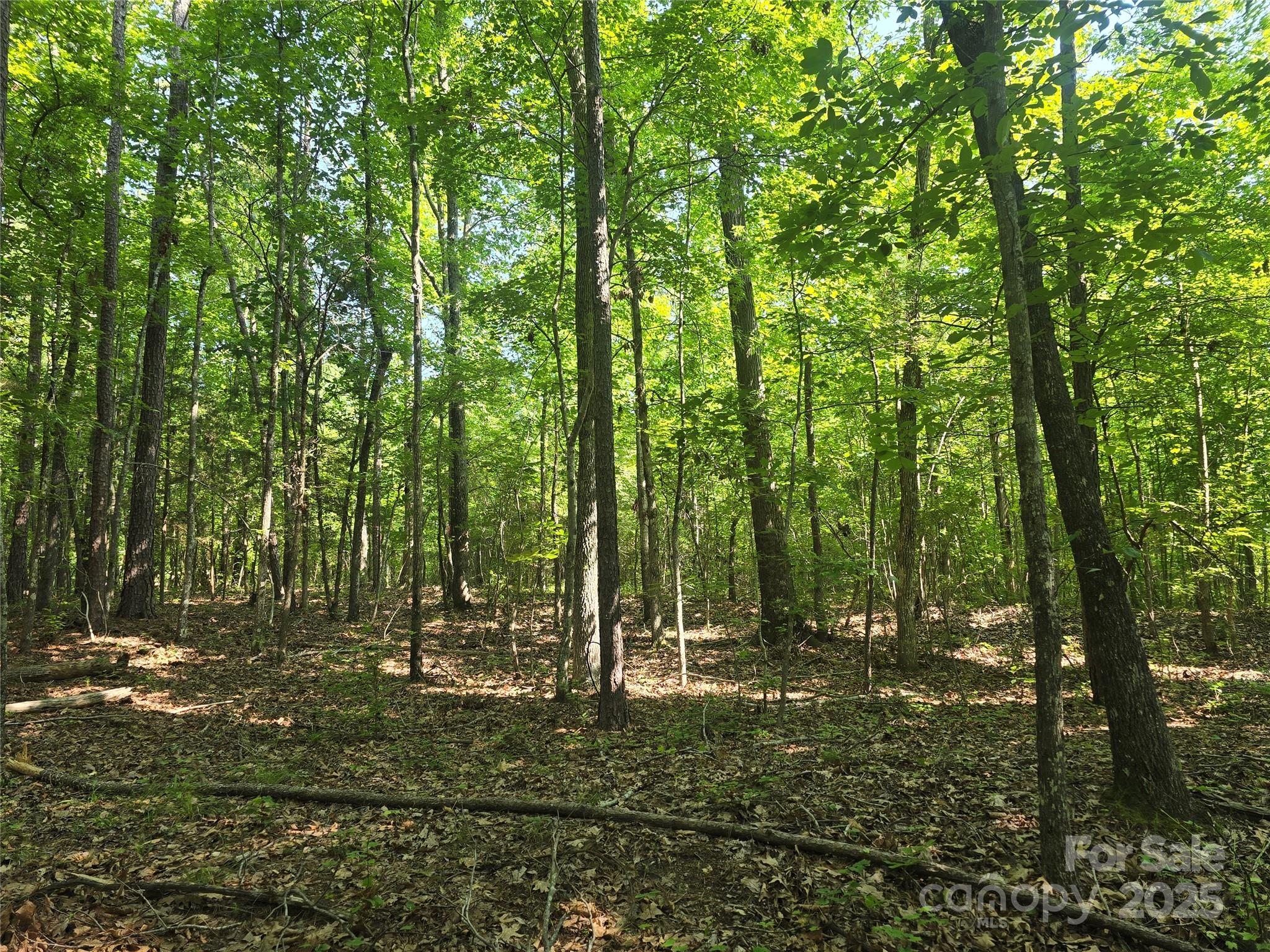 00 Hoke Road Property Photo 9