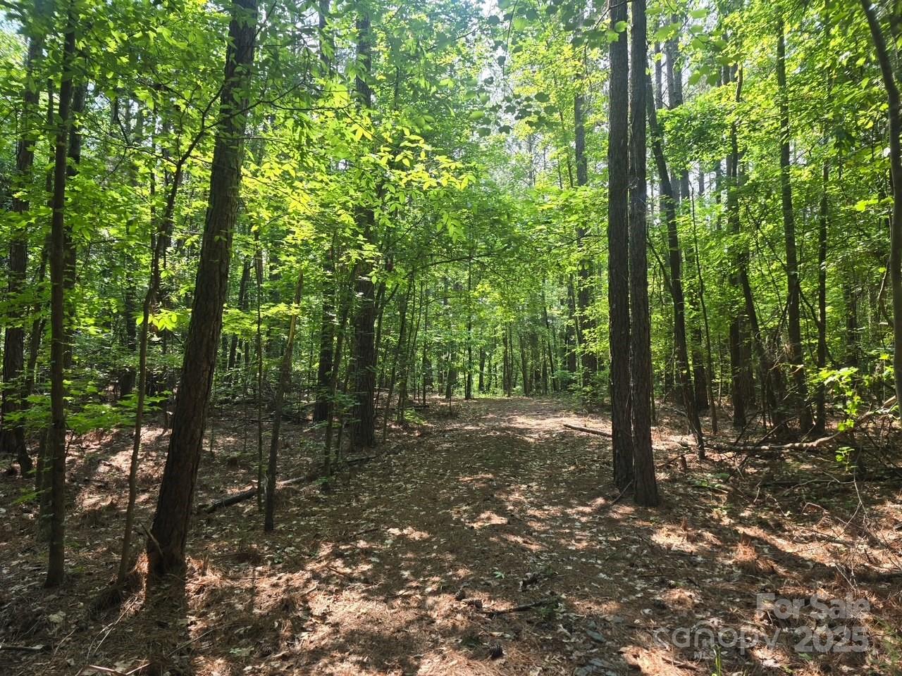 00 Hoke Road Property Photo 12