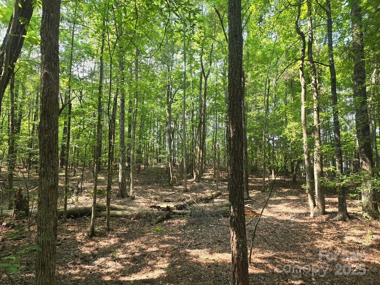 00 Hoke Road Property Photo 13