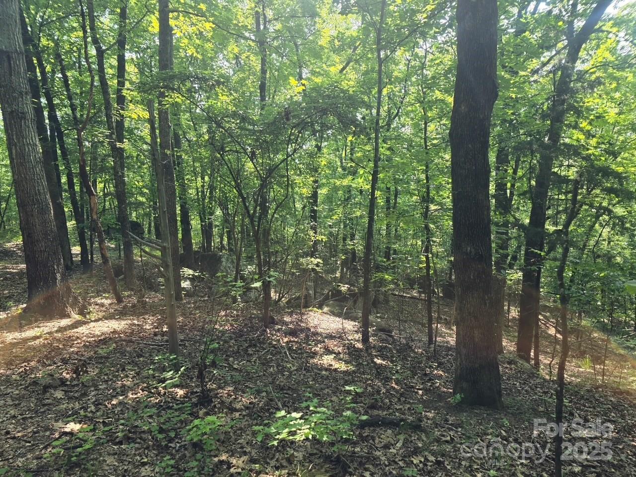 00 Hoke Road Property Photo 14