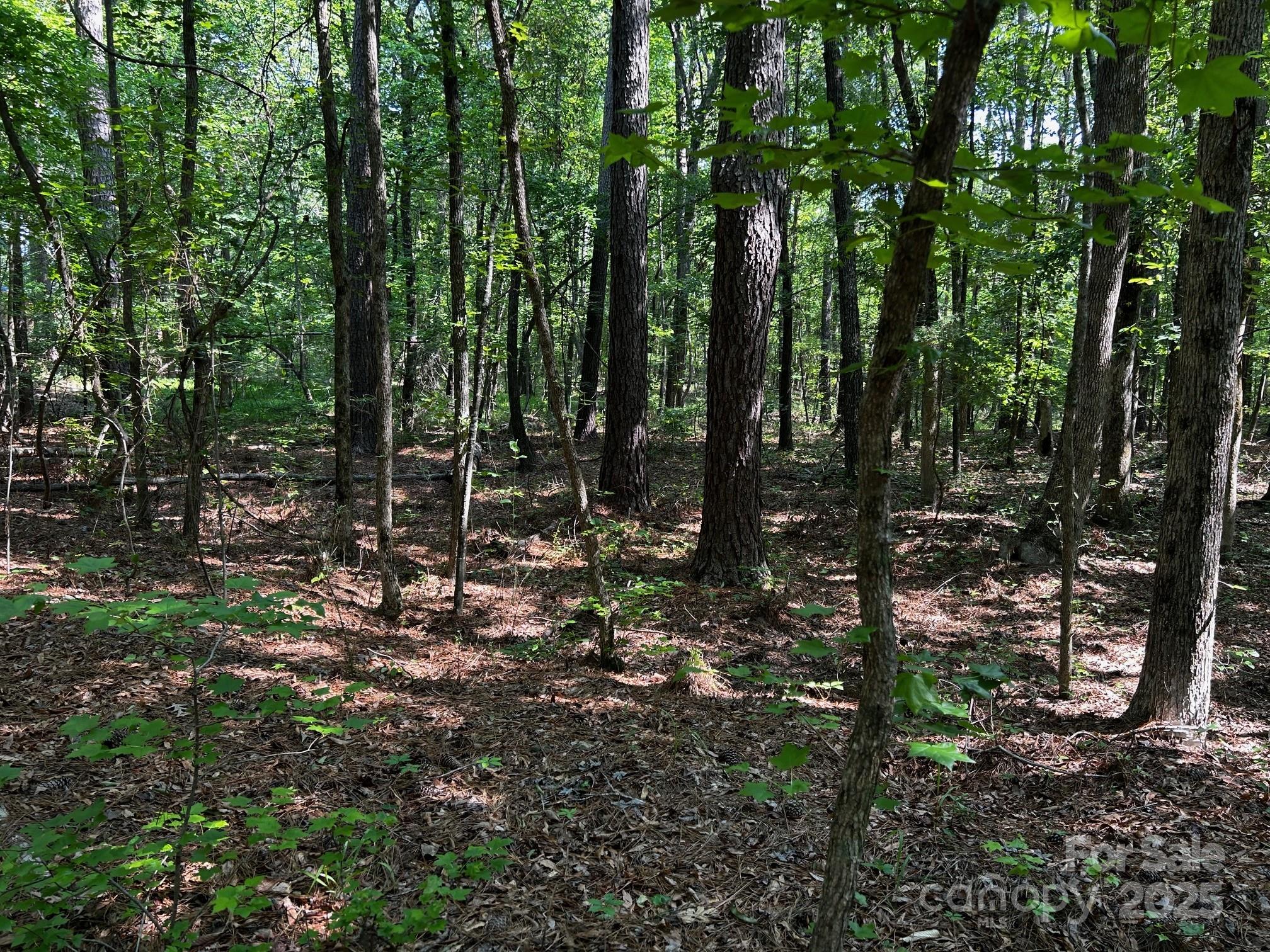 00 Hoke Road Property Photo 15