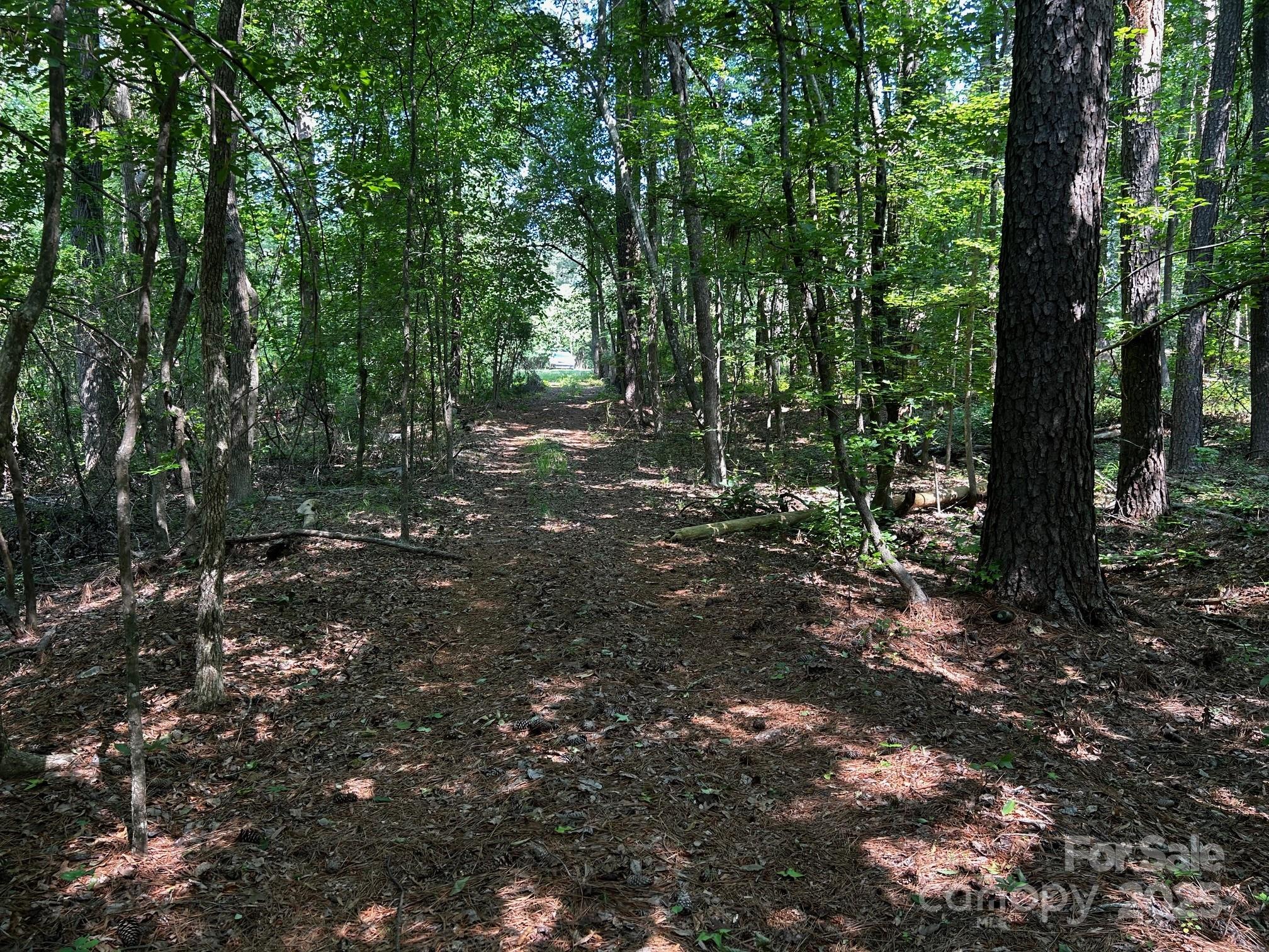 00 Hoke Road Property Photo 16