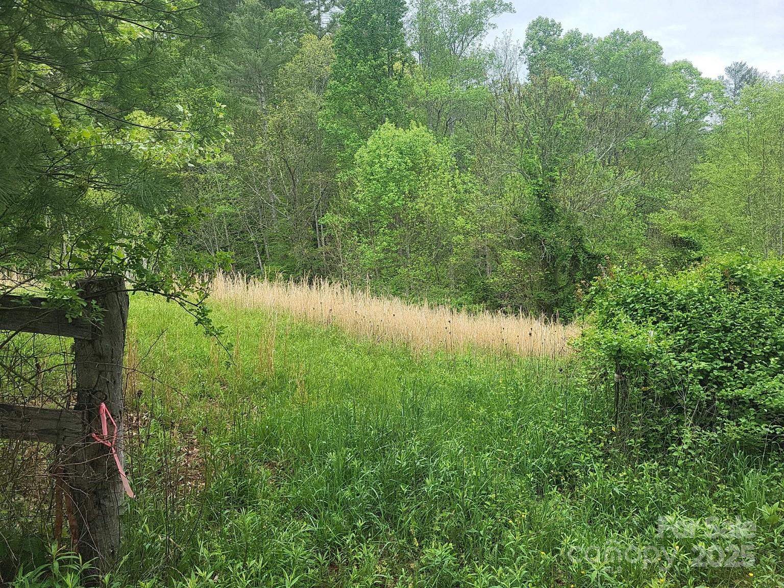 Tbd Loggy Hollow Road Property Photo
