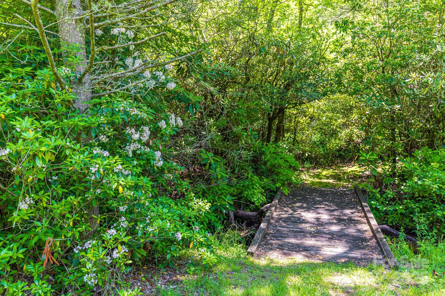 26 Upper Ridge Road Property Photo 37