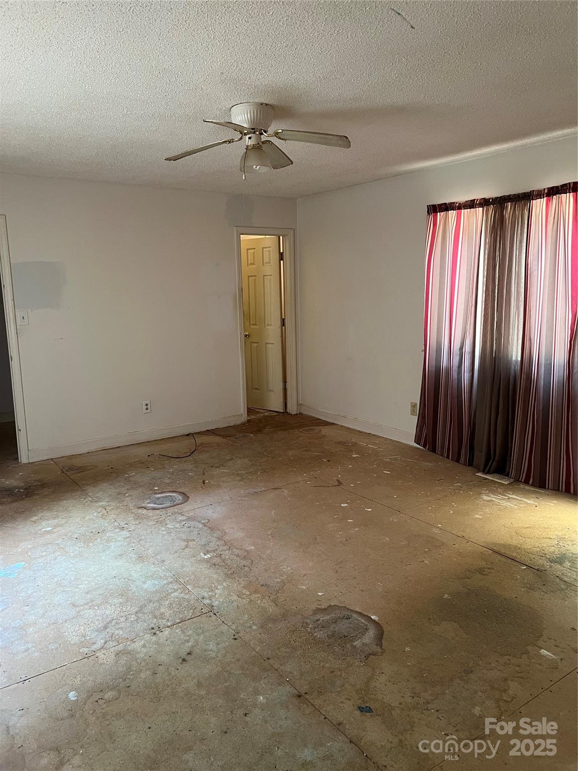 11204 Williams Road Property Photo 22
