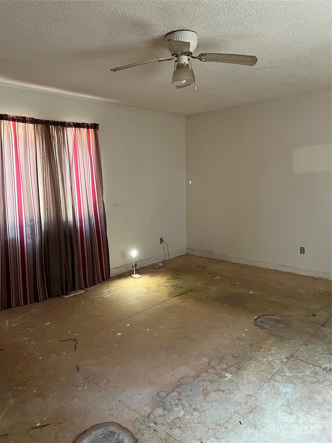 11204 Williams Road Property Photo 23