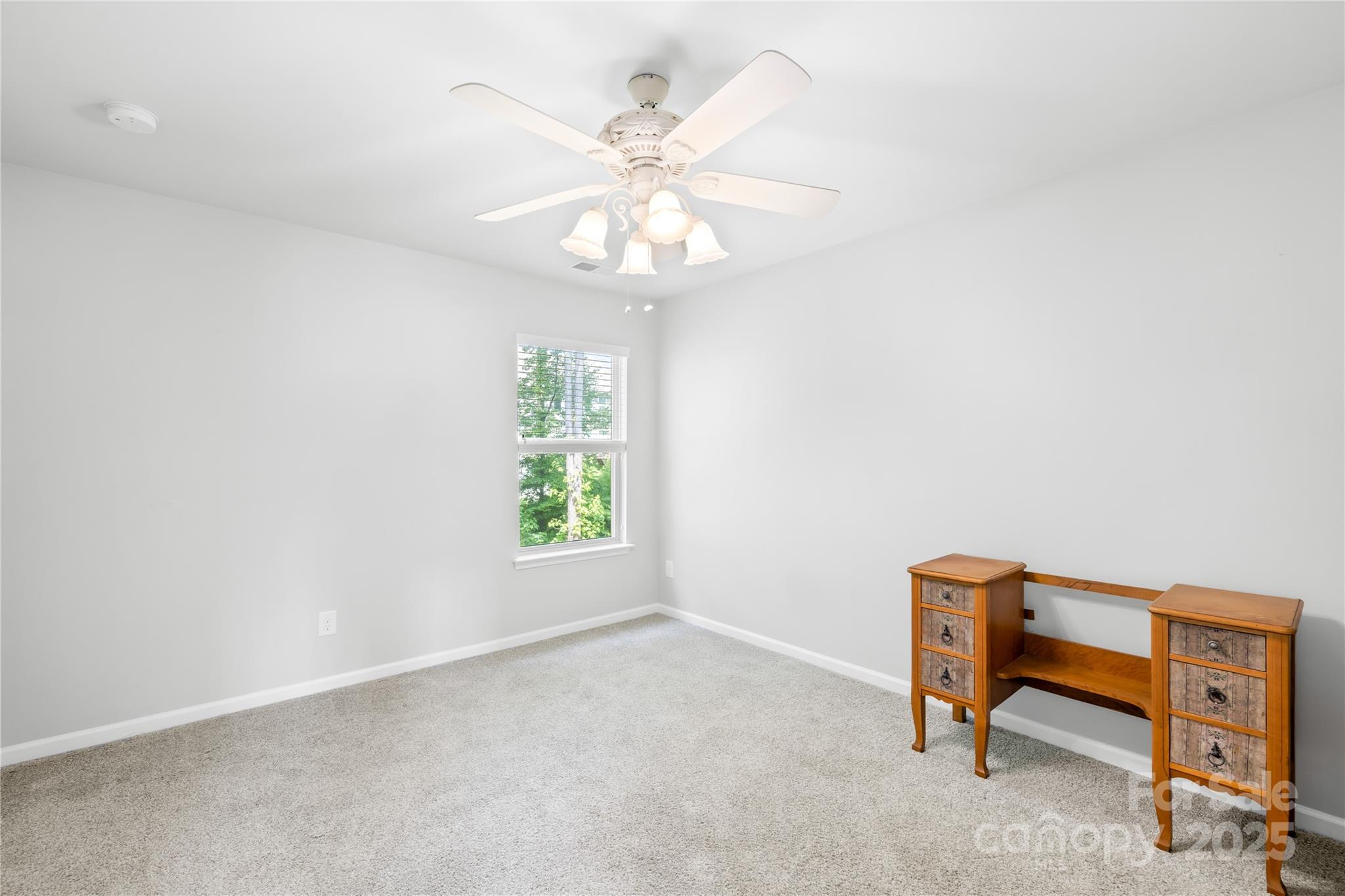 120 Carolinian Drive Property Photo 25