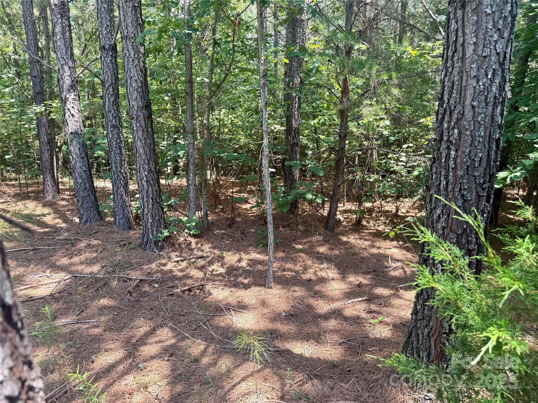 Lot 262 Cross Creek Drive Property Photo 2