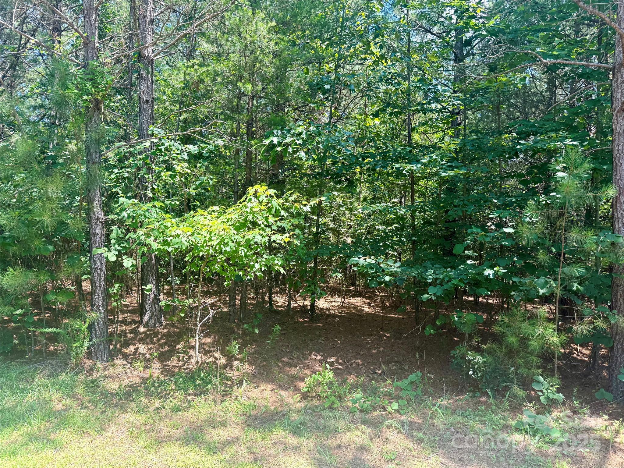 Lot 262 Cross Creek Drive Property Photo 3