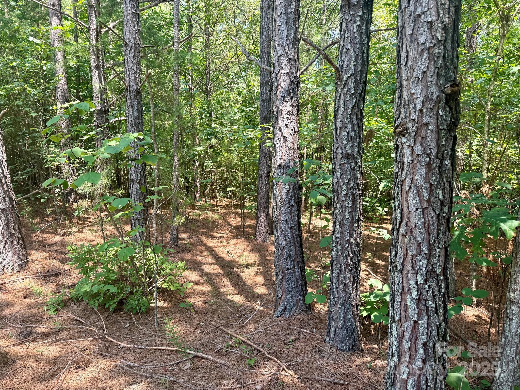 Lot 262 Cross Creek Drive Property Photo 4