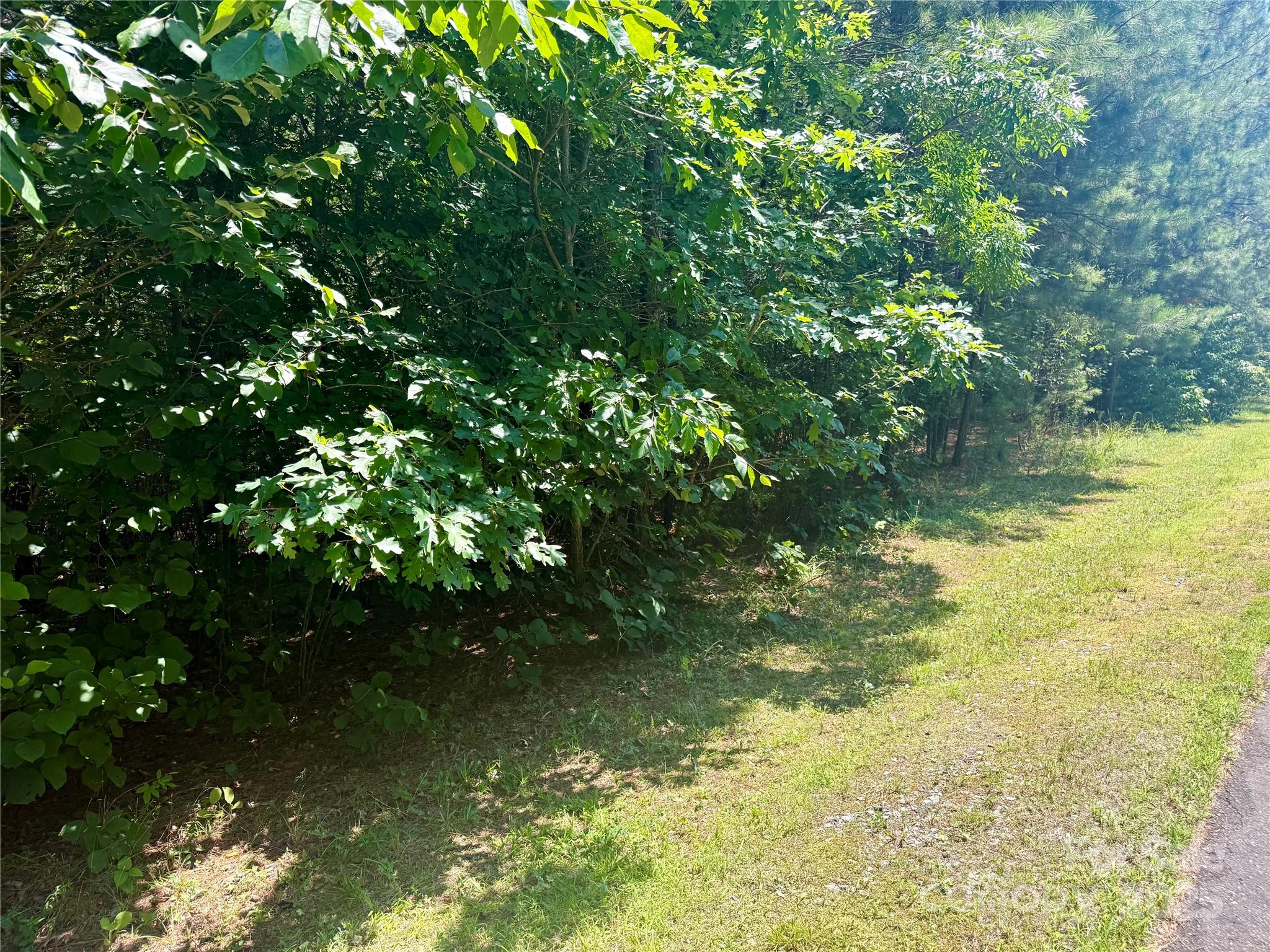 Lot 262 Cross Creek Drive Property Photo 6