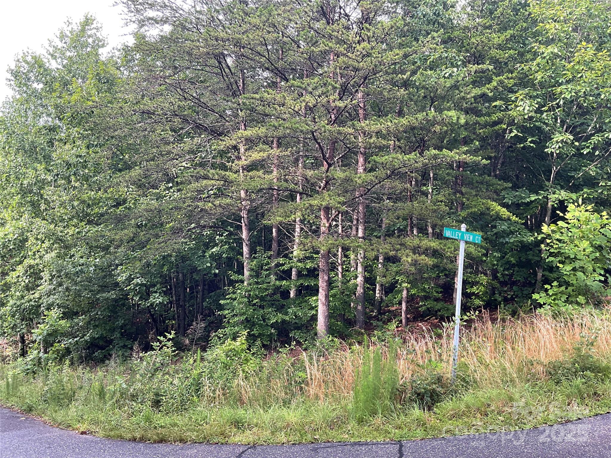 0 Pineknoll Drive Property Photo 1