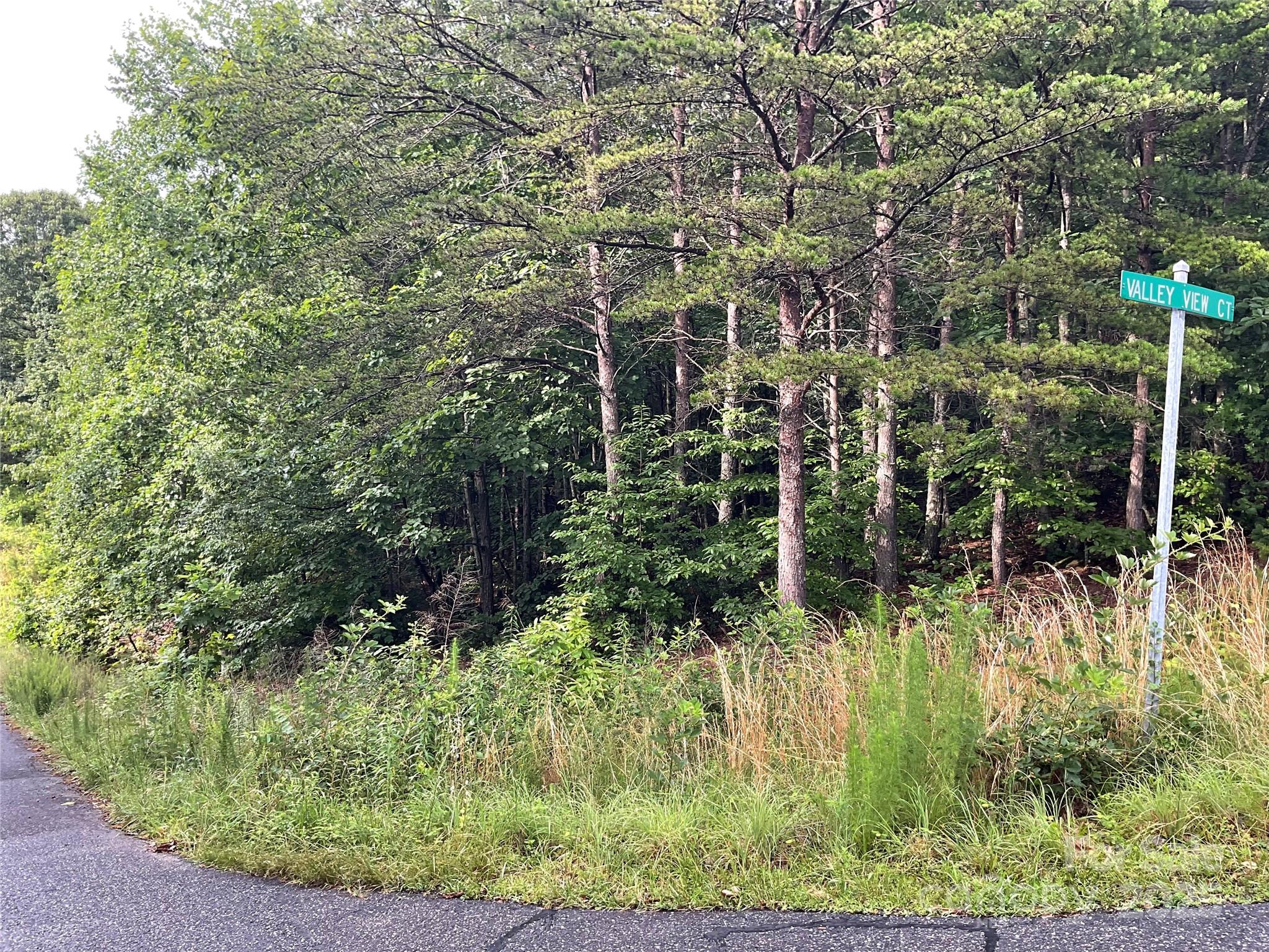 0 Pineknoll Drive Property Photo 2