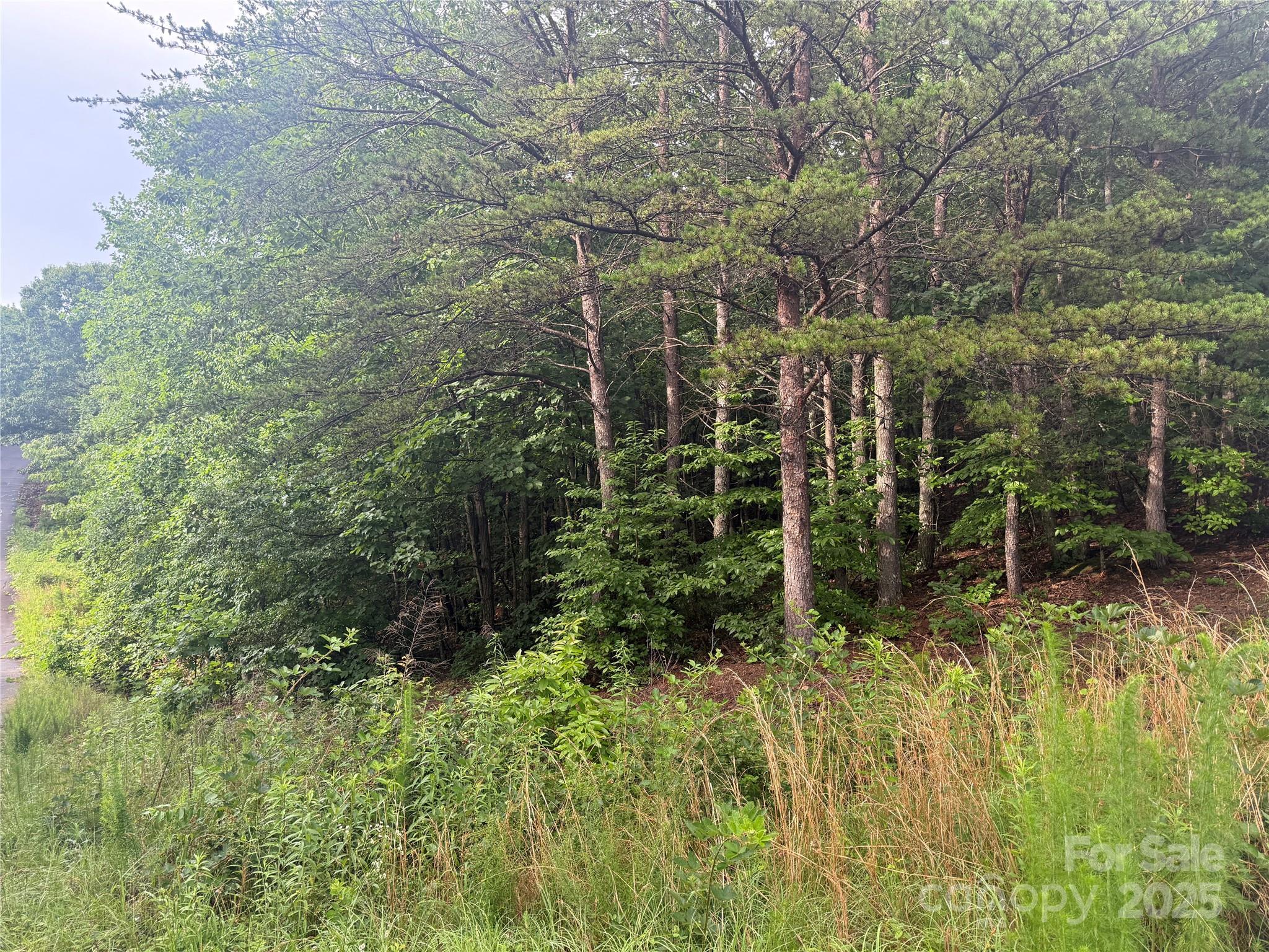 0 Pineknoll Drive Property Photo 3