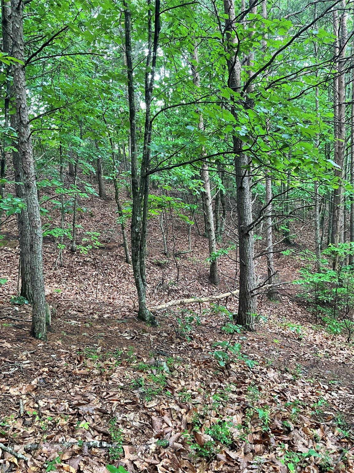 0 Pineknoll Drive Property Photo 9