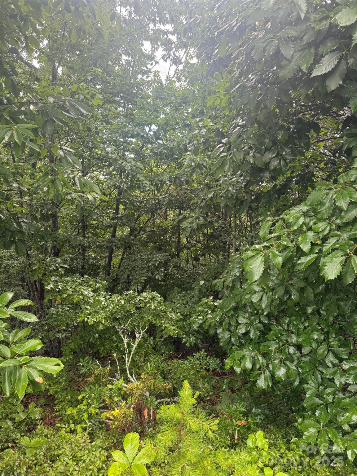 0 Pineknoll Drive Property Photo 18