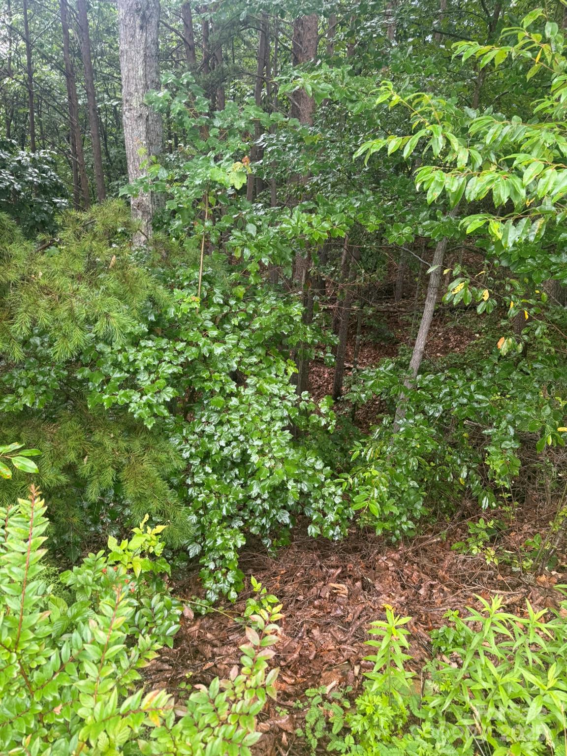 0 Pineknoll Drive Property Photo 19